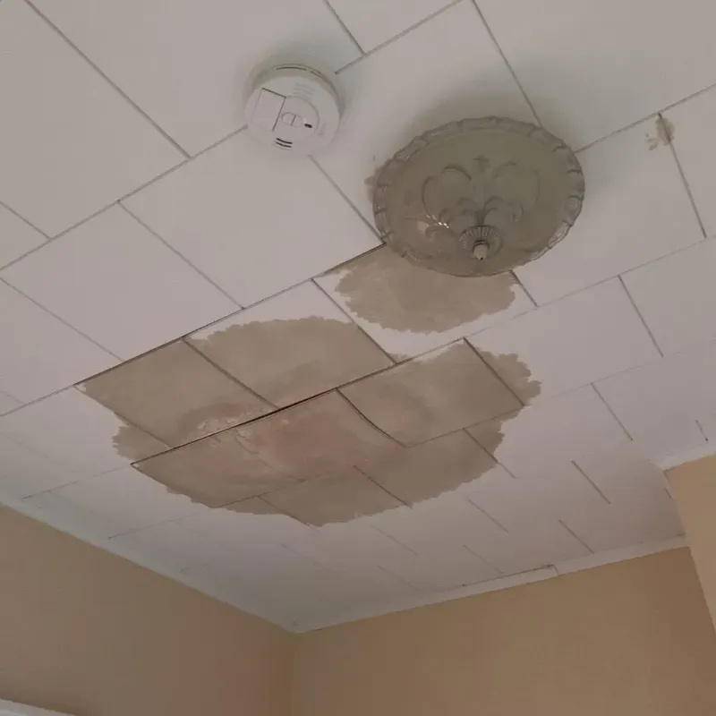 Ceiling Water Damage Repair in Hohenwald, TN