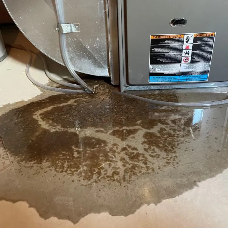 Pipe Burst and Leak Restoration in Hohenwald, TN