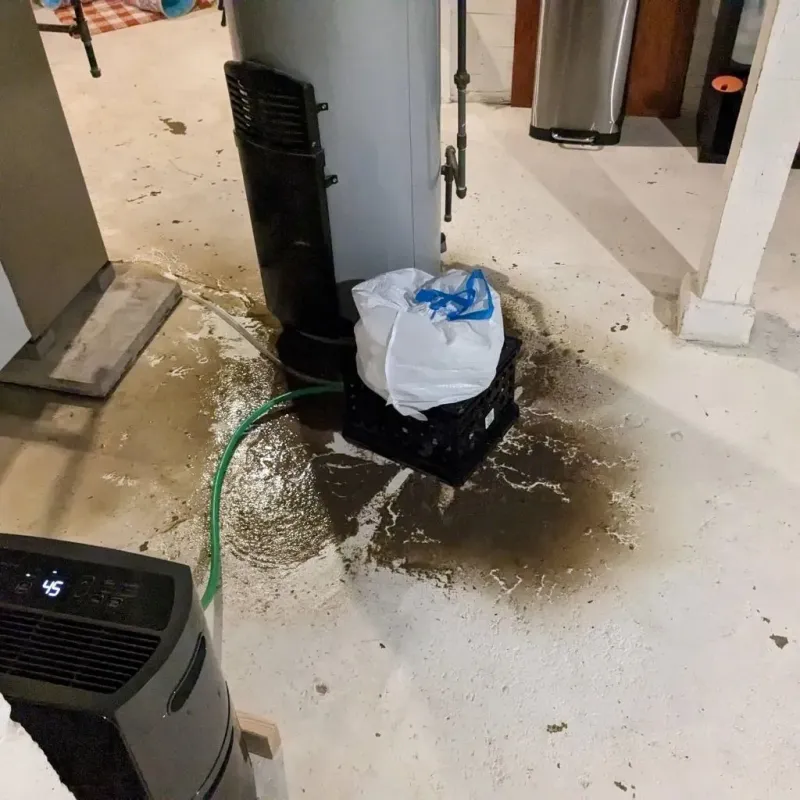 Sewage Backup Cleanup Service in Hohenwald, TN